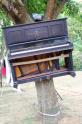 La voliere au Pianos 4 * 5184 x 3456 * (8.96MB)